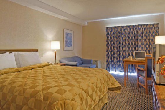 Comfort Inn Owen Sound Habitación foto